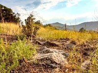2.61 Acres Affordable Getaway : Cotopaxi : Fremont County : Colorado