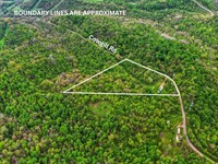 Cowgill Rd, 10 Acres : Sarahsville : Noble County : Ohio