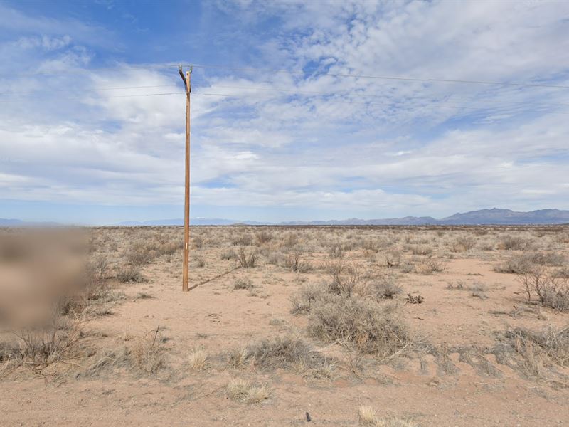 Half an Acre in AZ for Only $249/Mo : Sunsites : Cochise County : Arizona
