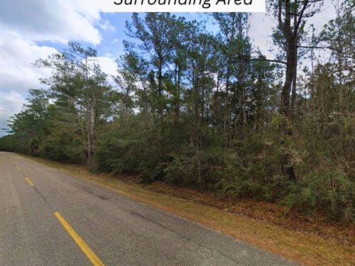Near Gulf Coast, Owner Financing : Pass Christian : Harrison County : Mississippi