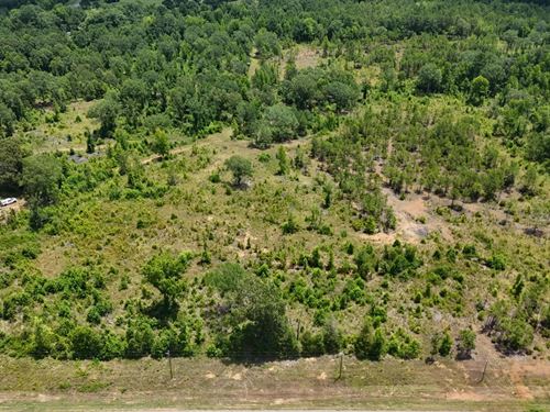 12.5 Acres in Lincoln Parish, LA : Ruston : Lincoln Parish : Louisiana