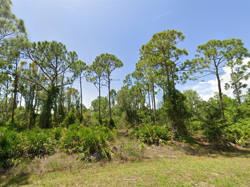 Paved Road + Power $199 Down : Punta Gorda : Charlotte County : Florida