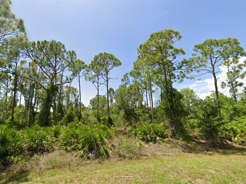 Paved Road + Power $199 Down : Punta Gorda : Charlotte County : Florida