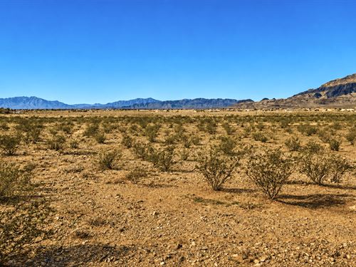 .20 Acre Lot Near Hwy in Pahrump : Pahrump : Nye County : Nevada