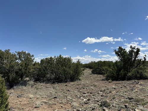 High Desert Sanctuary in Apache AZ : Apache : Arizona