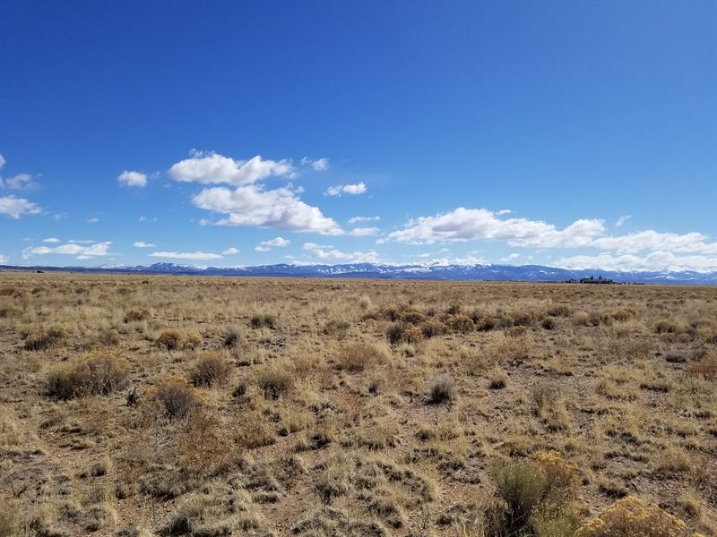 4.89 Acre CO Mountain Paradise : Blanca : Costilla County : Colorado