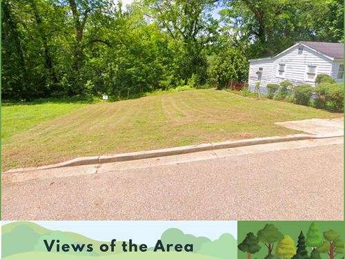 Unrestricted Vacant Lot : Vicksburg : Warren County : Mississippi