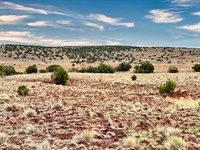 Inflation Eats Savings Land Doesn't : Concho : Apache County : Arizona