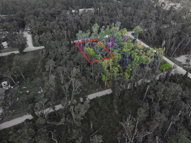 Expandable Lot Near Suwannee River : Live Oak : Suwannee County : Florida