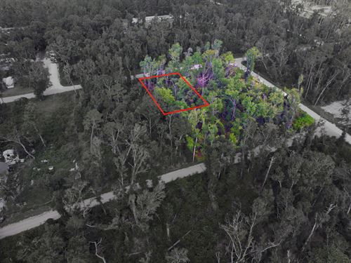 Expandable Lot Near Suwannee River : Live Oak : Suwannee County : Florida