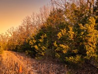 .31 Acres Near Lakes Arkansas : Horseshoe Bend : Izard County : Arkansas