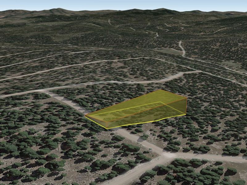 Over 1.5 Wooded Buildable Acres, CA : Alturas : Modoc County : California