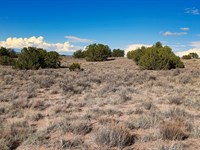 Pass Down a Piece of The West : Sanders : Apache County : Arizona
