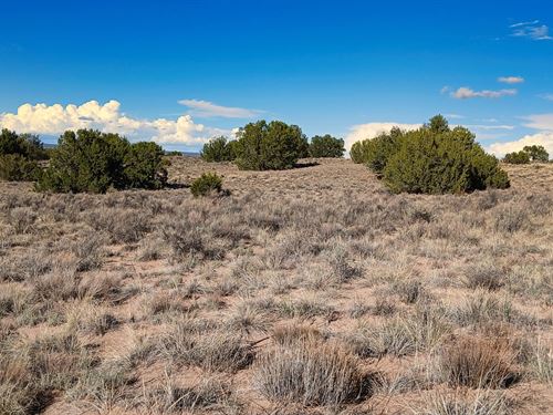 Pass Down a Piece of The West : Sanders : Apache County : Arizona