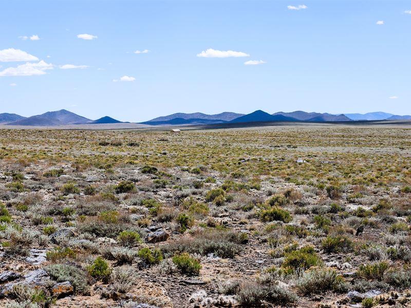 Low Cost Way to Own Colorado Land : Costilla : Costilla County : Colorado
