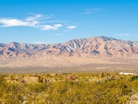 Bordering 640 Acres of Public Land : Dolan Springs : Mohave County : Arizona