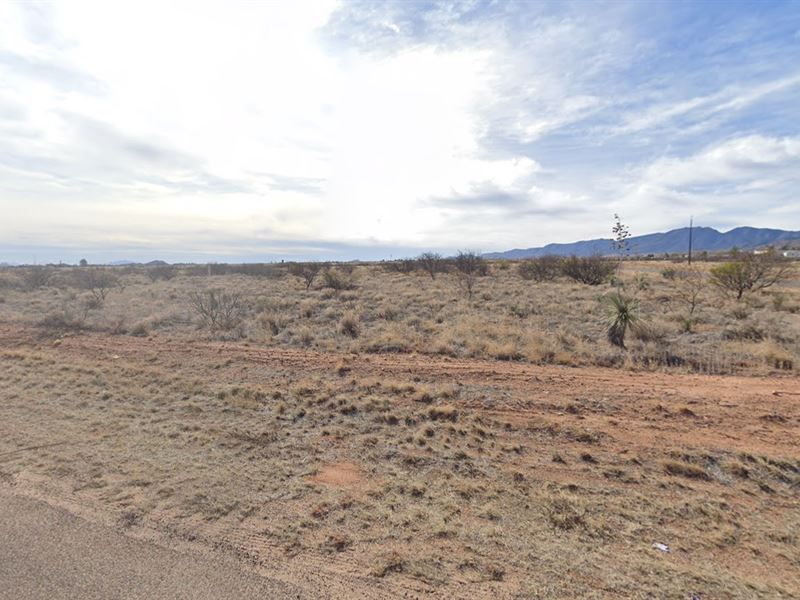 Starry Nights & Desert Views : Sunsites : Cochise County : Arizona