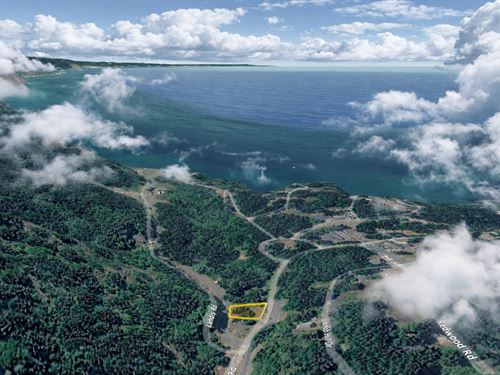 Residential Coastal California Land : Shelter Cove : Humboldt County : California