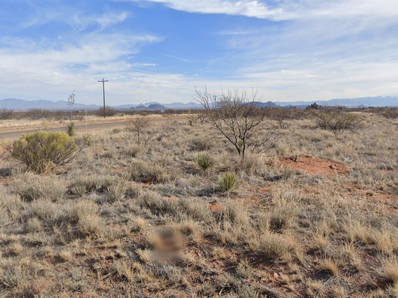 Room to Roam in Arizona : Sunsites : Cochise County : Arizona