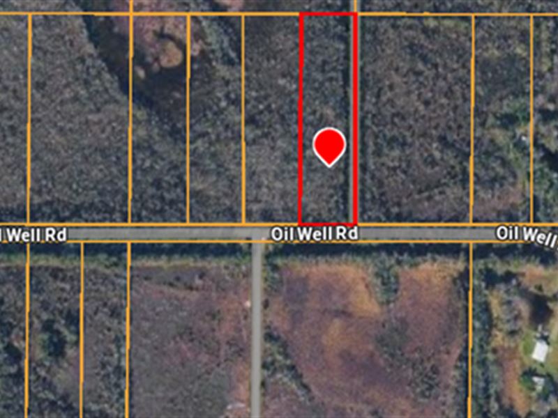 2.5 Acres in Punta Gorda FL with Ow : Punta Gorda : Charlotte County : Florida