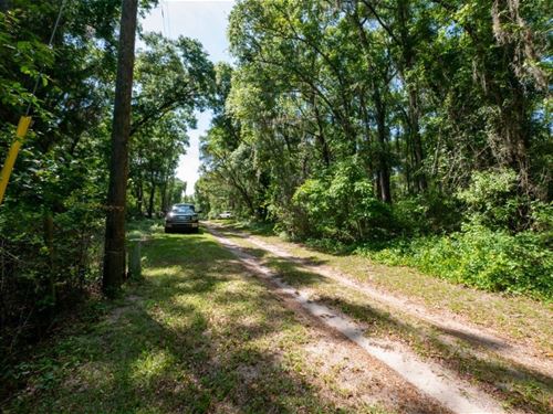 Your Florida Dream Can Come True : Citra : Marion County : Florida