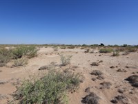 Why Buy One When You Can Own Five : Deming : Luna County : New Mexico