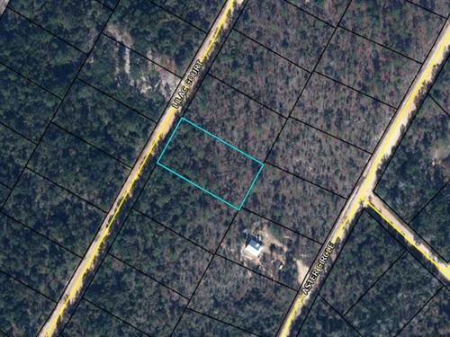 Easy Land Payments Just $253/Mo : Marianna : Jackson County : Florida