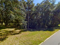 Almost Half Acre Fun : Interlachen : Putnam County : Florida