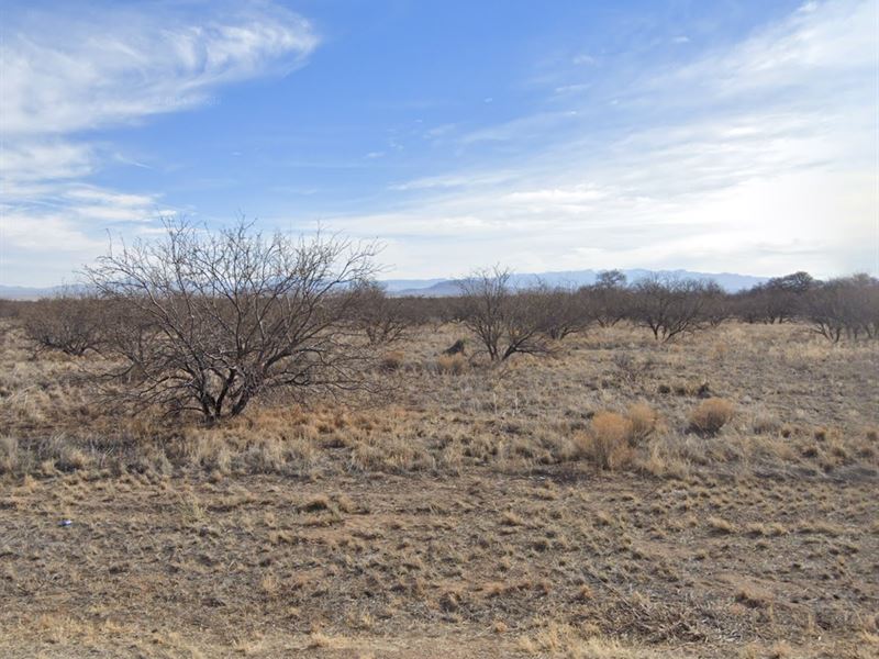 Quiet Corner of Southeastern AZ : Sunsites : Cochise County : Arizona