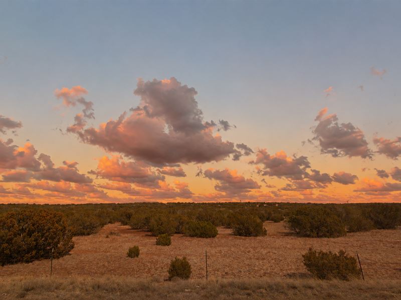 No HOA, Power Nearby : Snowflake : Navajo County : Arizona