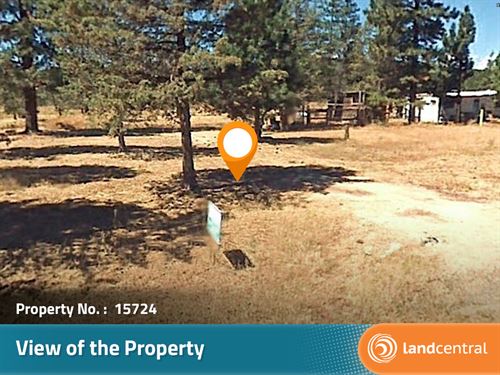 2.16 Acre Forest Beauty in CA : Modoc : California