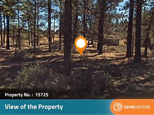 1.54 Acre Beautiful Mountain Land : McArthur : Modoc County : California