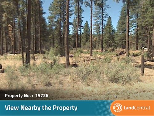 .92 Acre Beautiful Plot of Land : McArthur : Modoc County : California