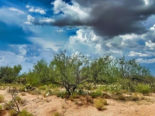 Mountain Views and City Convenience : Tucson : Pima County : Arizona