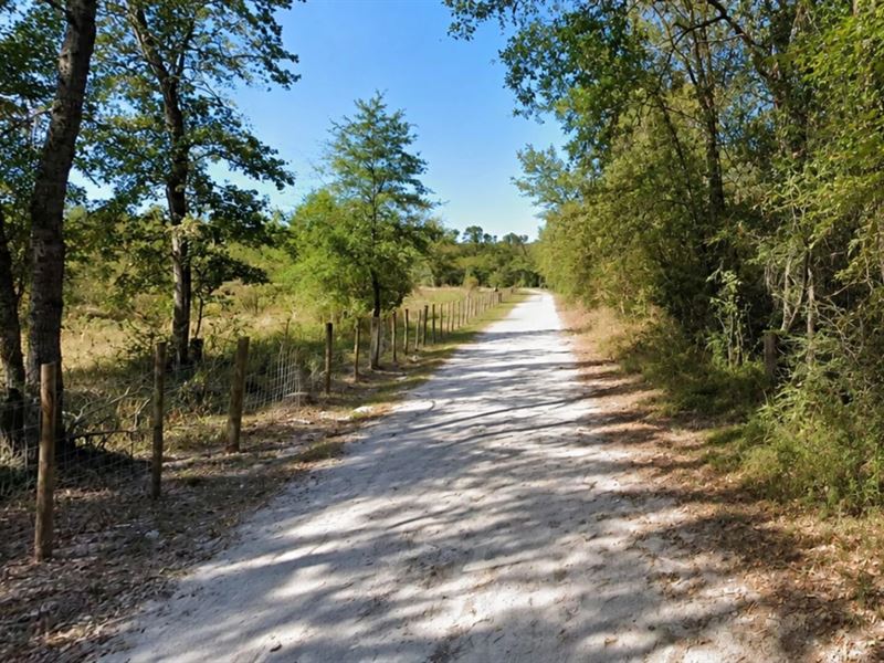 .33 Acre City Lot with Utilities : Trinity : Trinity County : Texas