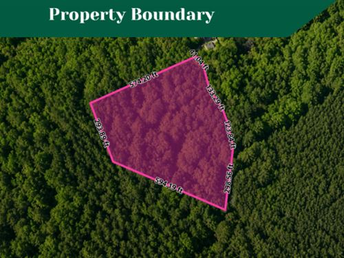 7.06 Acres in Gloucester, VA : Gloucester : Virginia