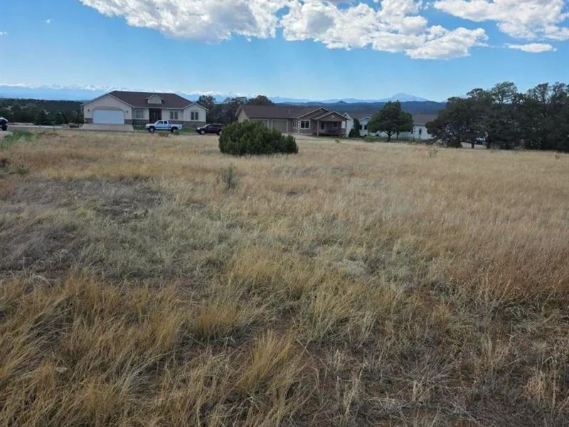 Peak Pkwy, Trinidad, CO 81082 : Trinidad : Las Animas County : Colorado