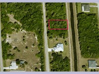 Peaceful 0.23 Acre in Palm Bay, FL : Palm Bay : Brevard County : Florida