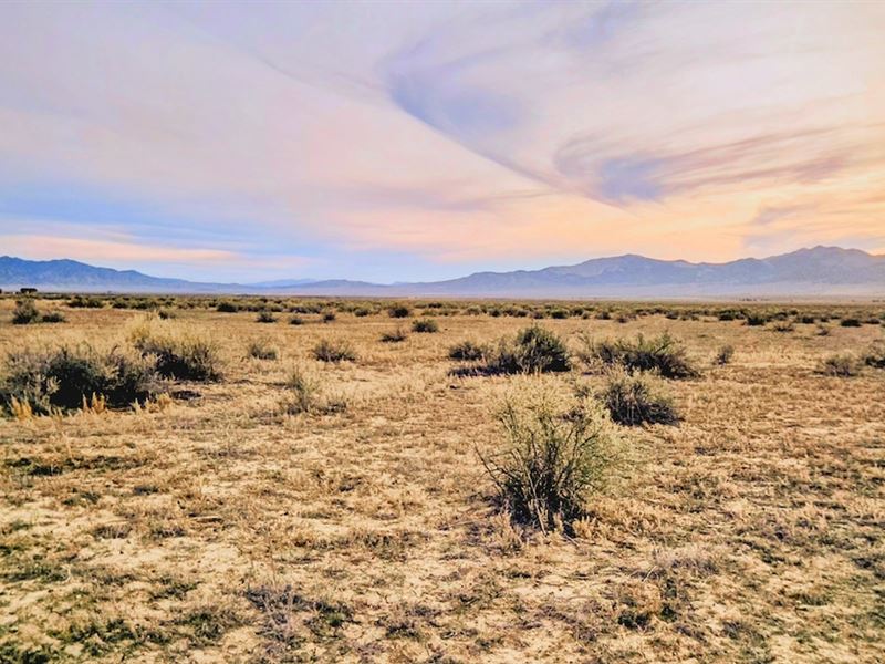 Expansive Vacant Lot : Montello : Elko County : Nevada