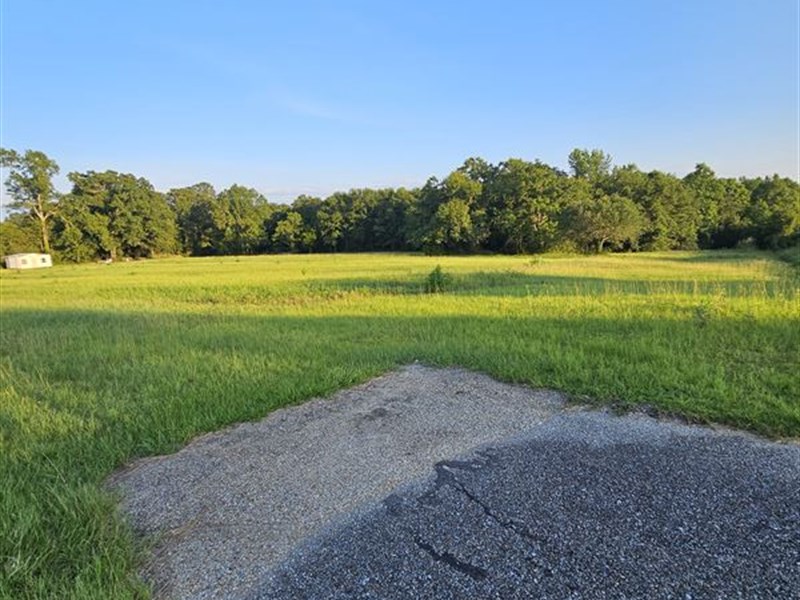 Great Commercial Property : Opp : Covington County : Alabama
