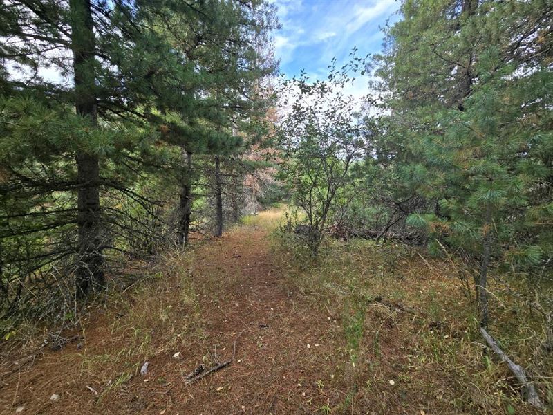 Section F 51833 Silver Valley Road : Kellogg : Shoshone County : Idaho