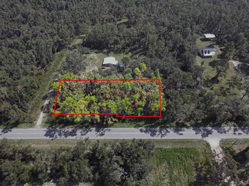 Build-Flexible Residential Land : Jennings : Hamilton County : Florida