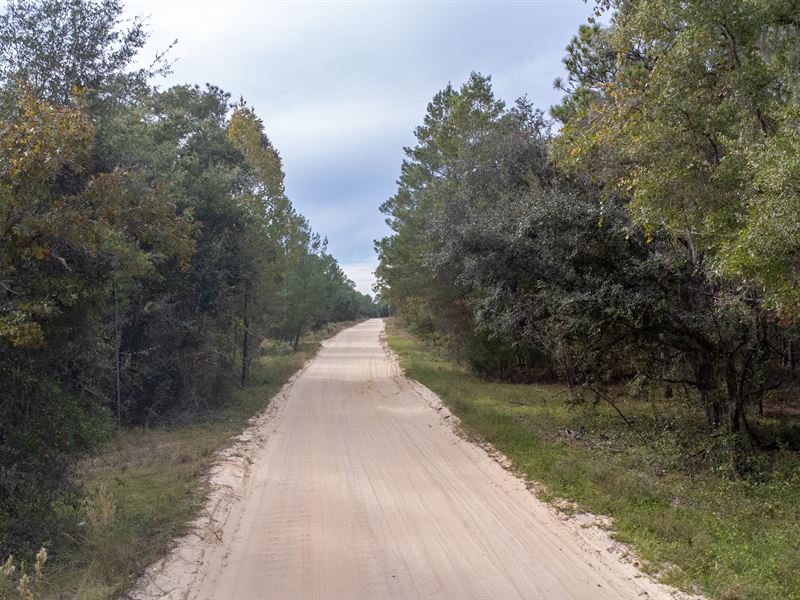 Own Two Side-By-Side Lots : Interlachen : Putnam County : Florida