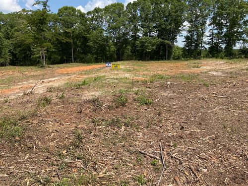 Centenary Road Lots, Lot 5 : Luverne : Crenshaw County : Alabama