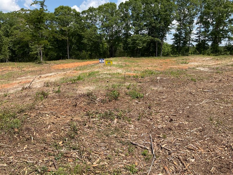 Centenary Road Lots, Lot 6 : Luverne : Crenshaw County : Alabama