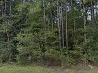 996 Hickory Grove, Lumberton : Lumberton : Pearl River County : Mississippi
