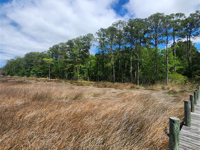 Waterfront on The Crystal Coast : Beaufort : Carteret County : North Carolina