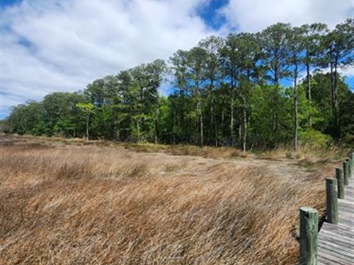 Waterfront on The Crystal Coast : Beaufort : Carteret County : North Carolina