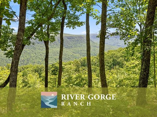 River Gorge Ranch Homesite : Guild : Marion County : Tennessee