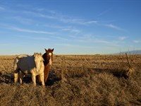 Close To Town, I-25 & Rio Metro : Los Lunas : Valencia County : New Mexico